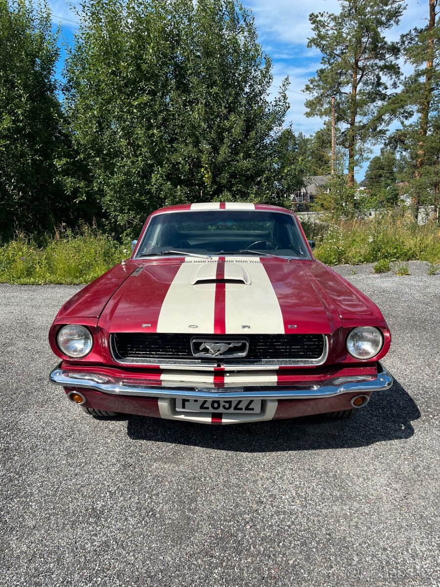 Ford Mustang Fastback - detail 1
