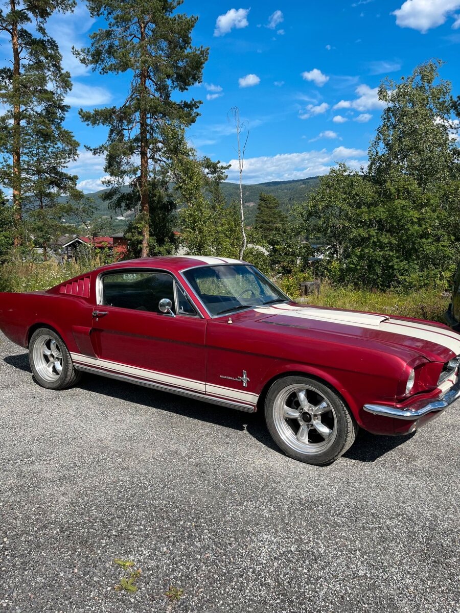 Ford Mustang Fastback - detail 2