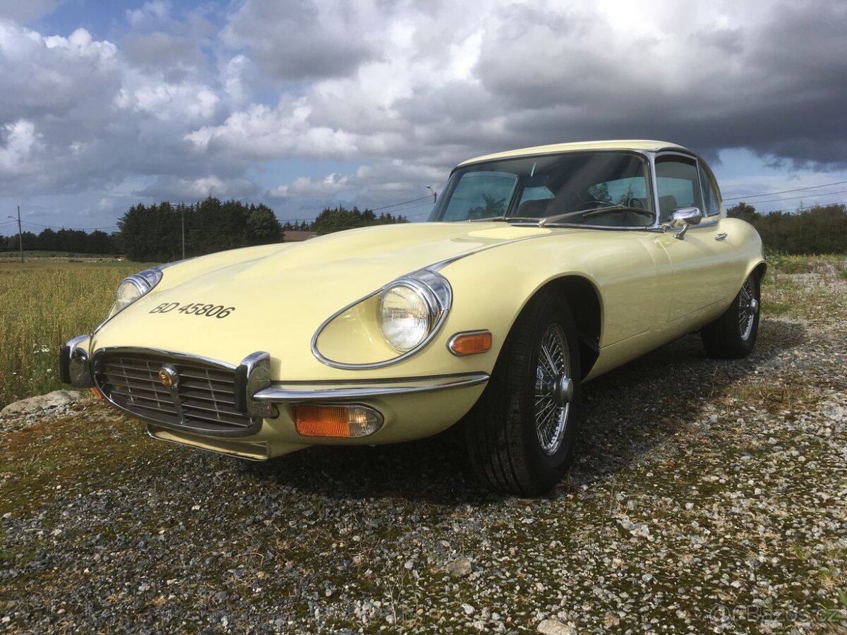 Jaguar E-Type 2+2 matching numbers - detail 1