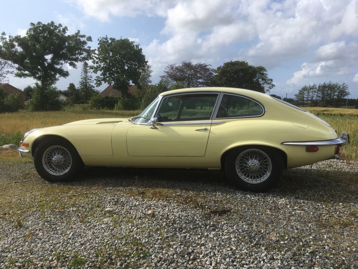 Jaguar E-Type 2+2 matching numbers - detail 2
