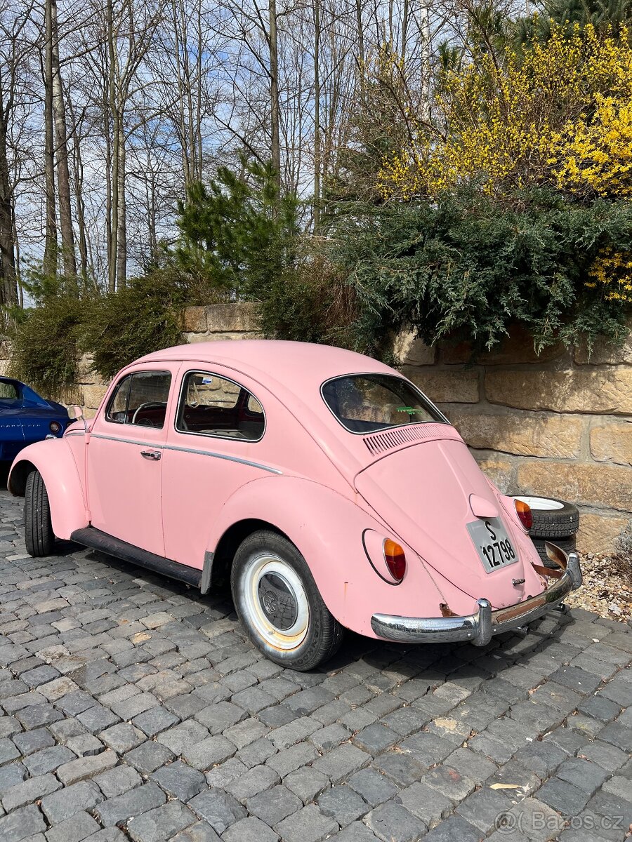 VW Brouk 1962 - detail 1