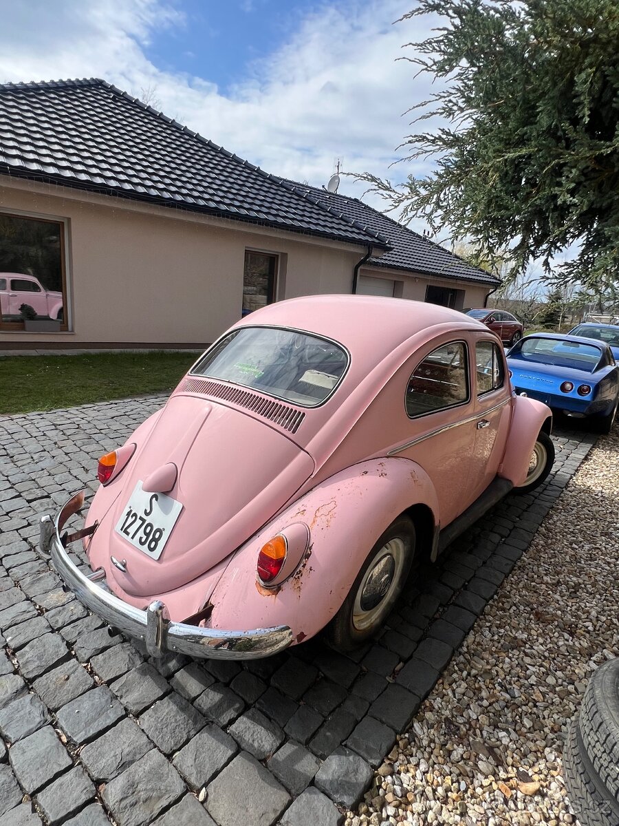 VW Brouk 1962 - detail 2