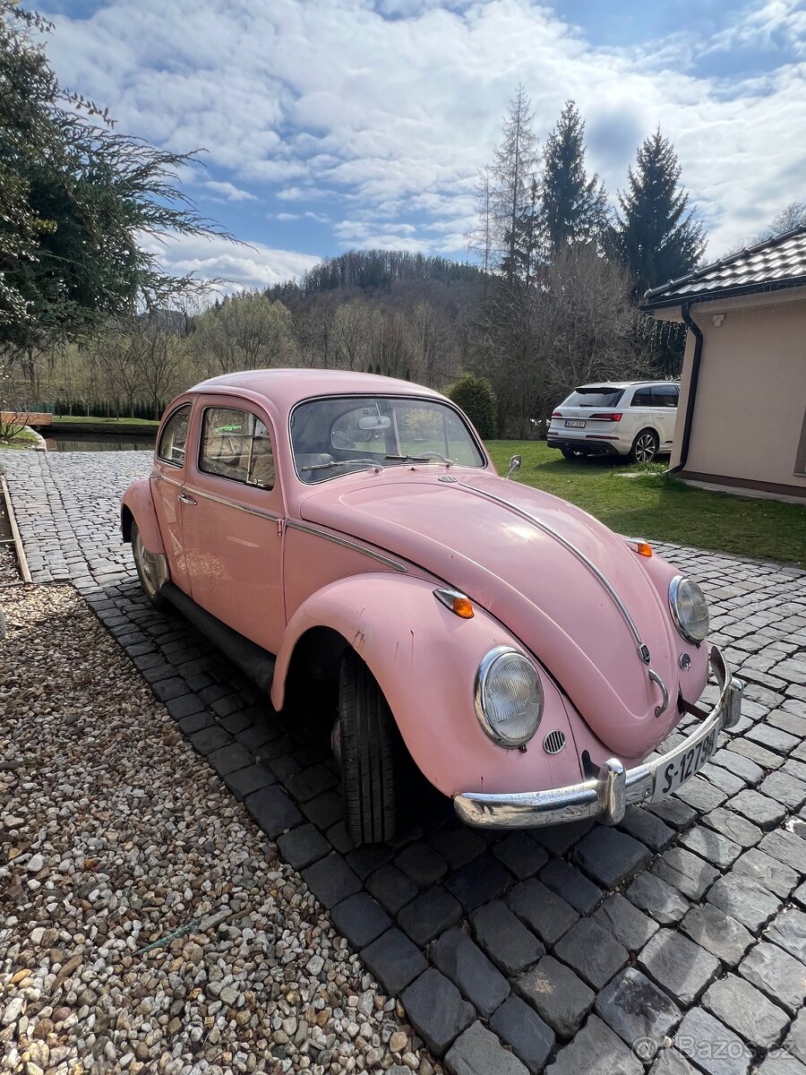 VW Brouk 1962 - detail 3