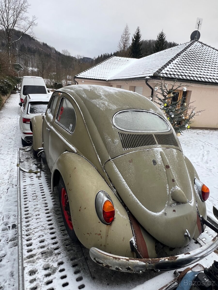 VW Brouk 1953 Oval