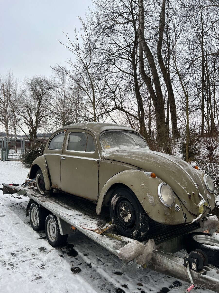 VW Brouk 1953 Oval - detail 1