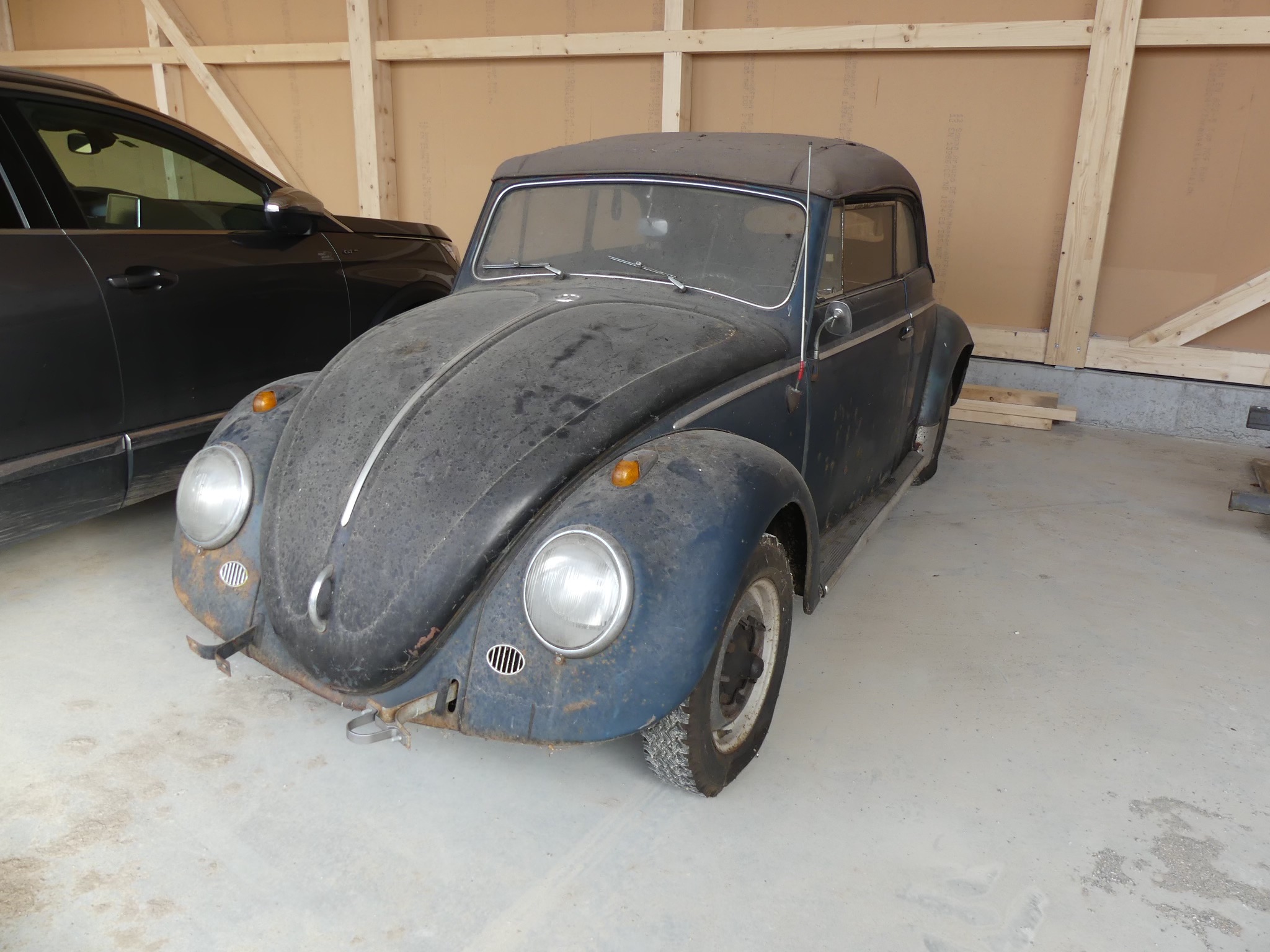 VW Brouk Cabrio 1958