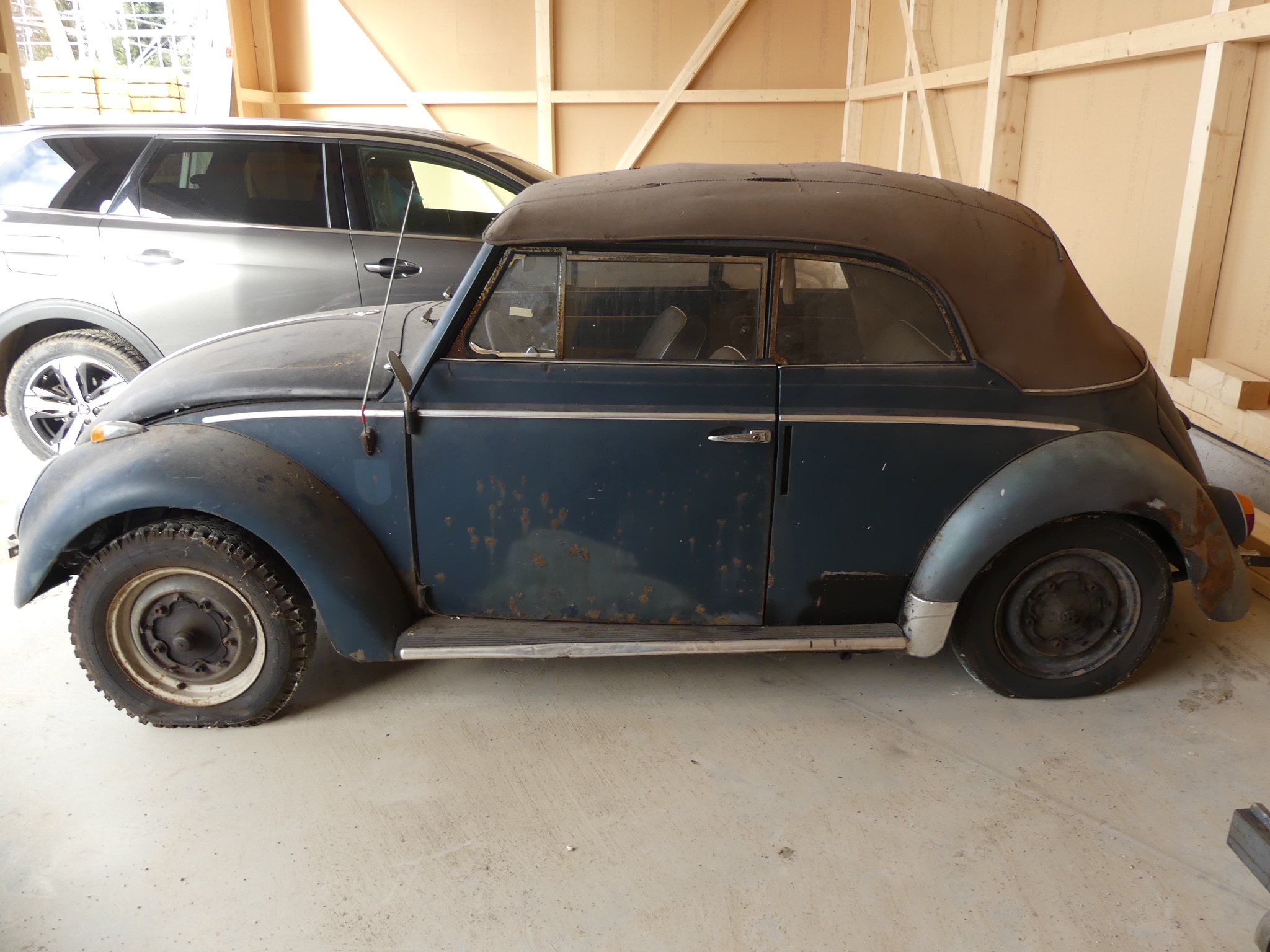 VW Brouk Cabrio 1958 - detail 1