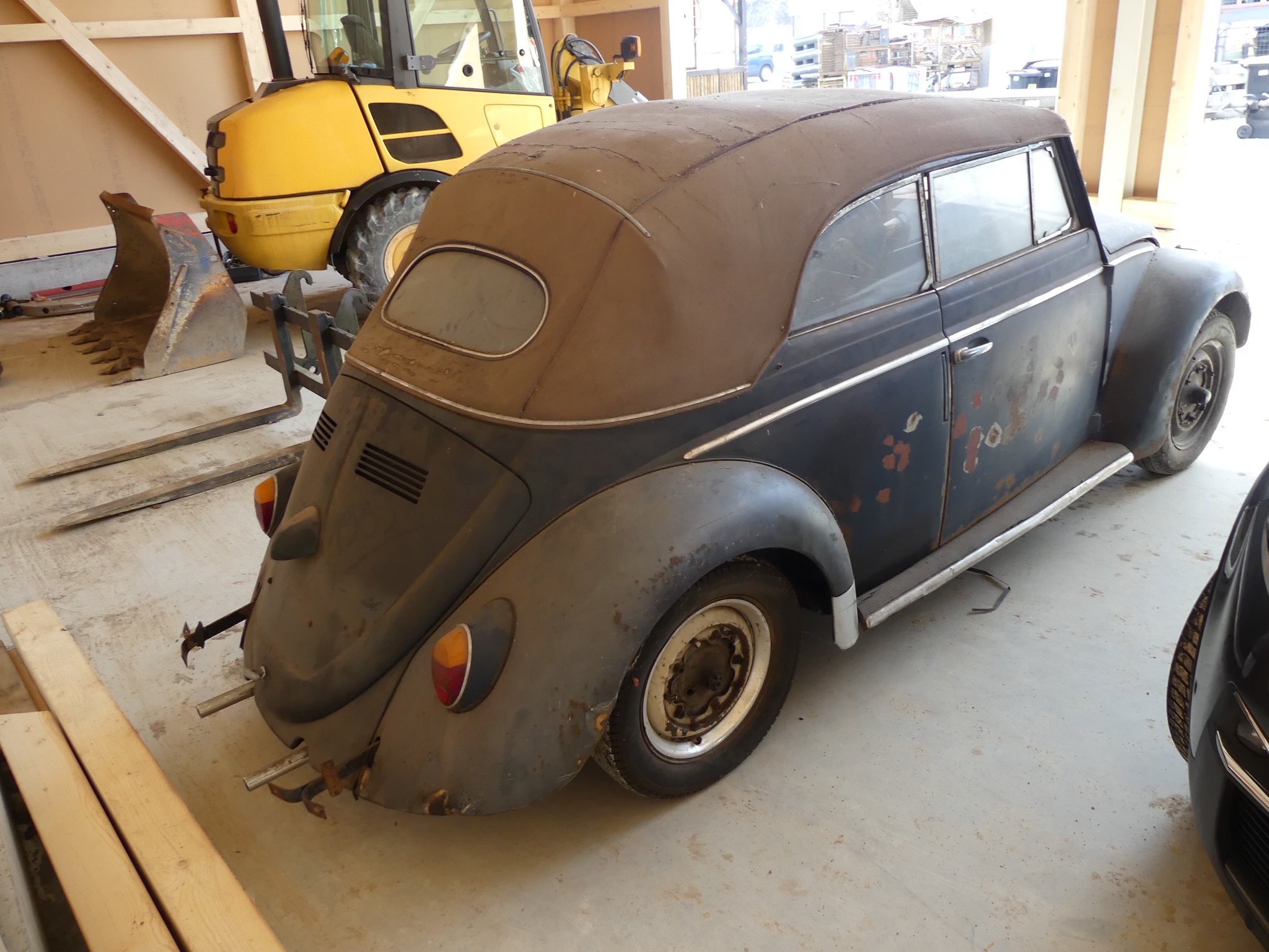 VW Brouk Cabrio 1958 - detail 3