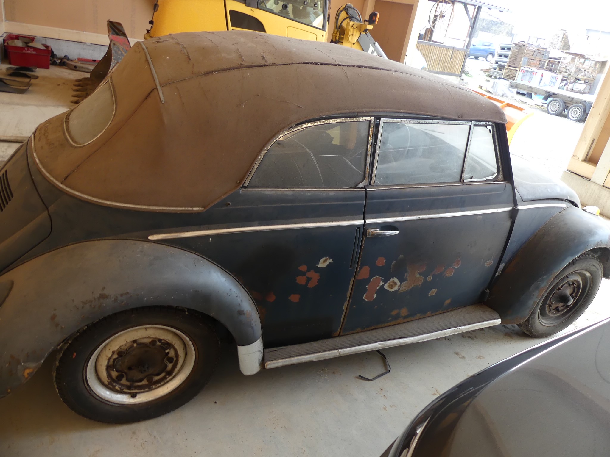 VW Brouk Cabrio 1958 - detail 4