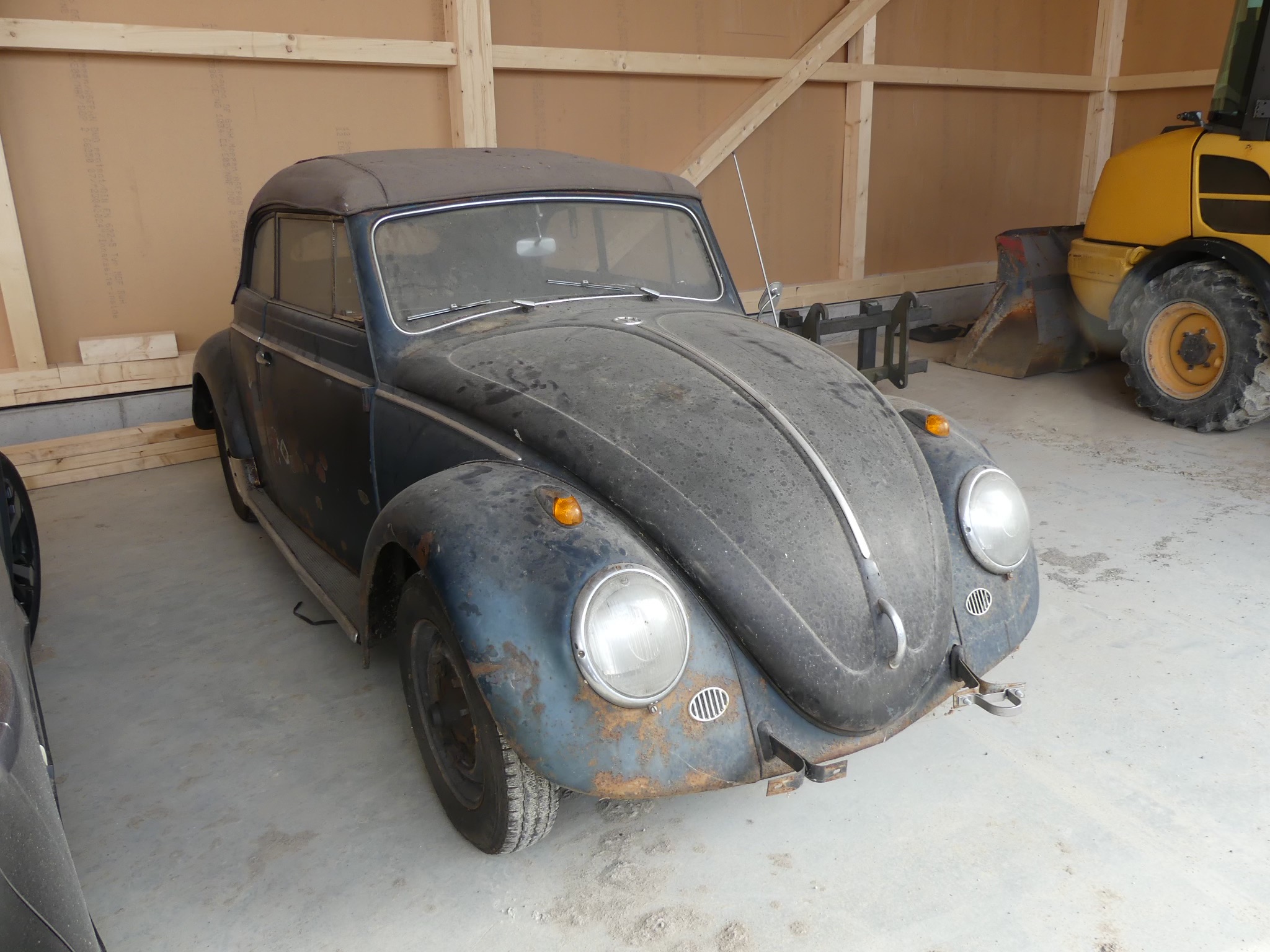 VW Brouk Cabrio 1958 - detail 5